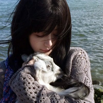 行尸之惧第六季 海报