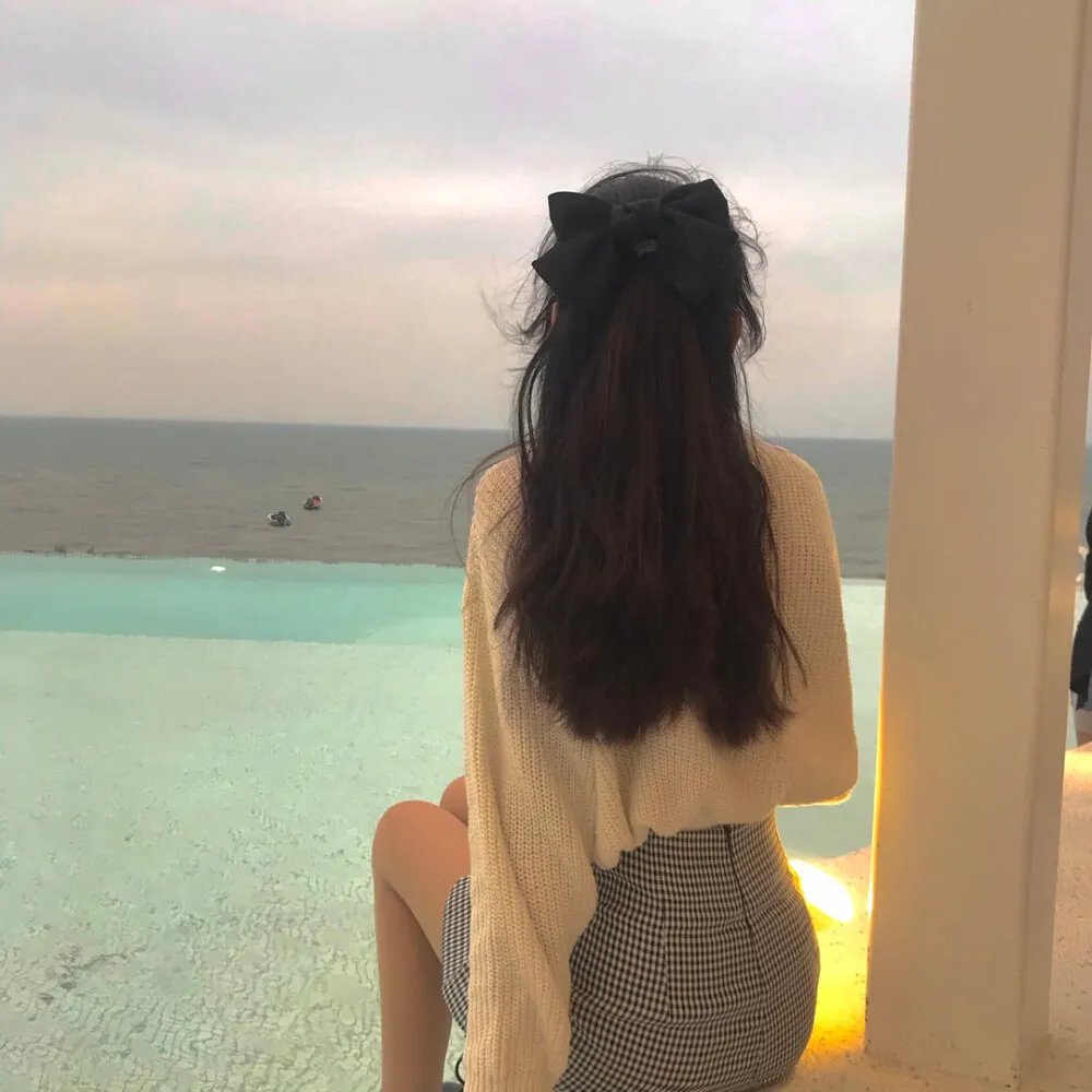 战鸭突击队 海报