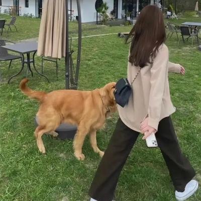 乌都残垣 海报