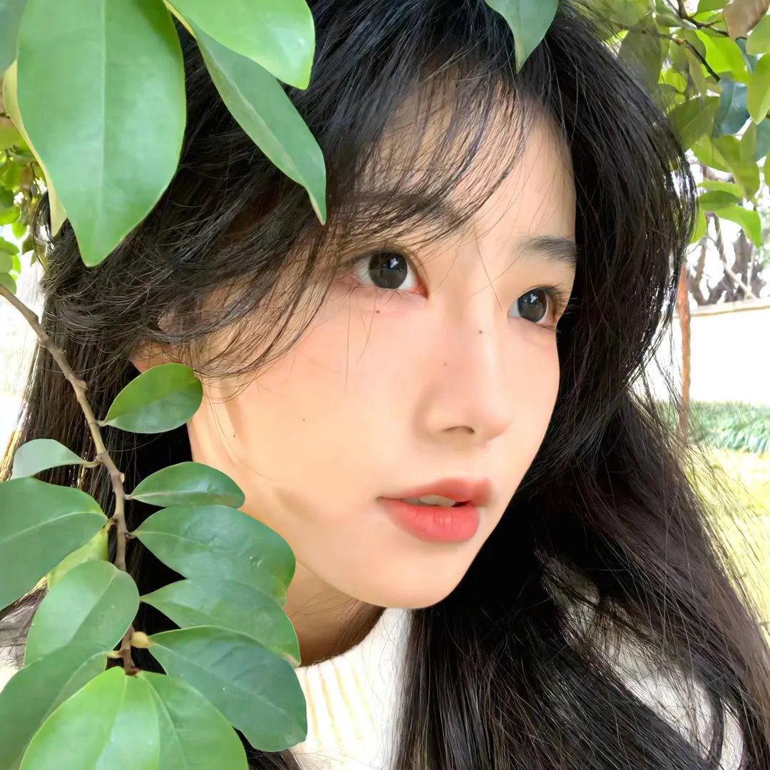 赤月 海报